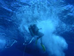 Diver entering water at bloodybay wall at little cayman. by Jack Ray 